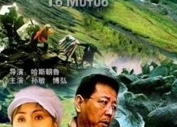 心跳墨脱演员表,揭秘演员阵容，探寻神秘墨脱的激情之旅
