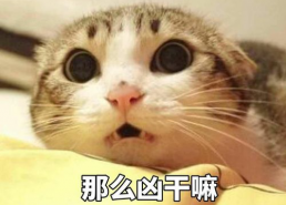 萌逗表情包,趣味横生的网络文化新宠