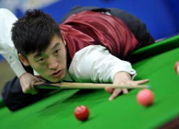 明星金龙,闪耀荧屏的璀璨明星