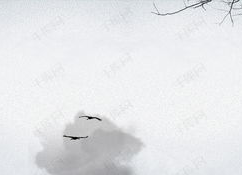 诗人背景,探寻诗人背后的故事与情感