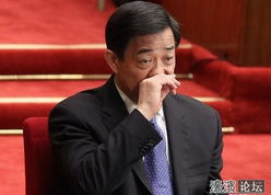 明星政治,明星跨界政坛的精彩瞬间