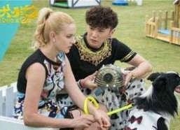 神犬小七第二季狗狗演员表,众星云集，狗狗演员闪耀荧屏