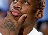 丹尼斯图片,探寻都市生活与自然和谐共生的奇妙旅程