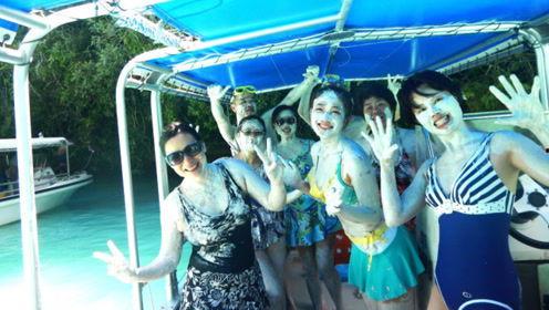 娱乐吃瓜君大象,大象背后的故事与真相